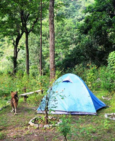 Camping in Rishikesh