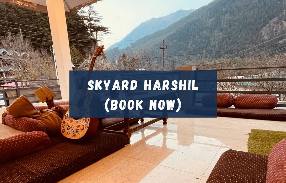 skyard-harshil-best-hostel